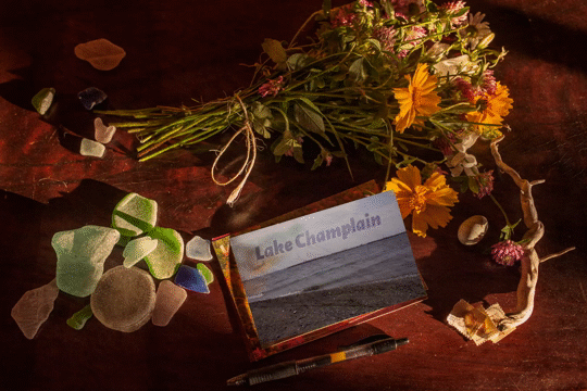 Flixel Cinemagraph