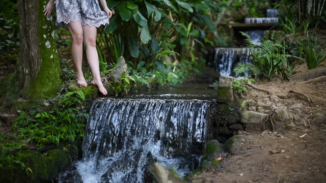 Flixel Cinemagraph
