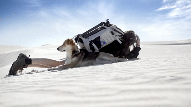 Flixel Cinemagraph