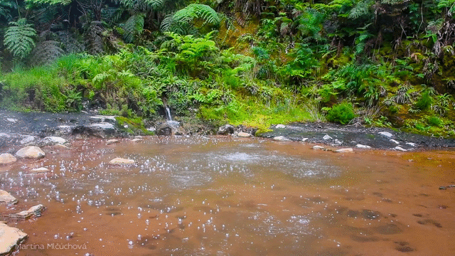 Flixel Cinemagraph