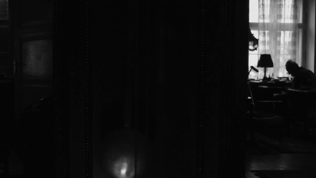 Flixel Cinemagraph