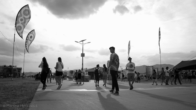Flixel Cinemagraph
