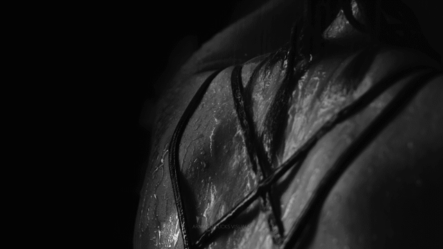 Flixel Cinemagraph