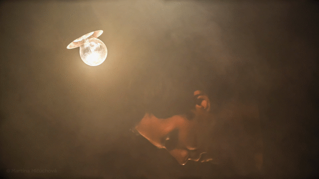 Flixel Cinemagraph