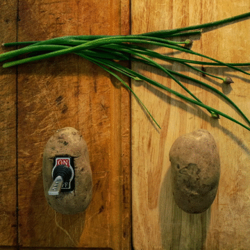 Flixel Cinemagraph