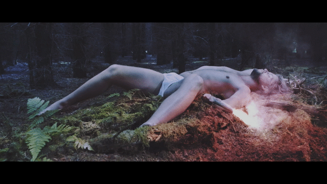 Flixel Cinemagraph