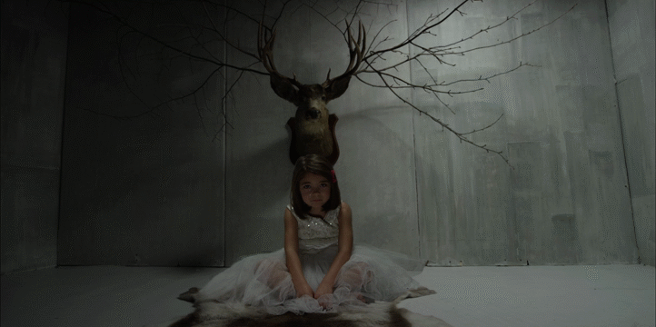 Flixel Cinemagraph