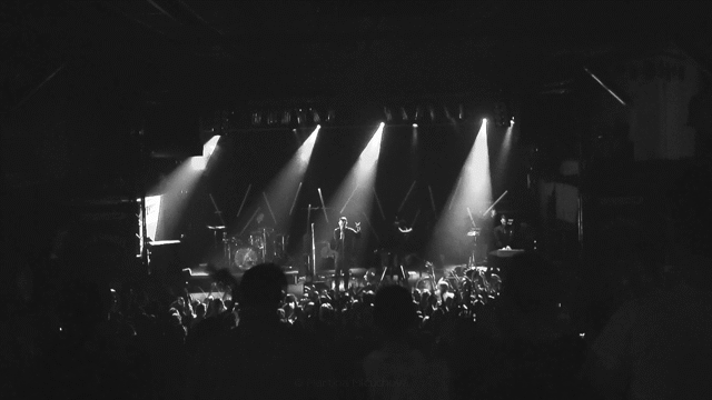 Flixel Cinemagraph