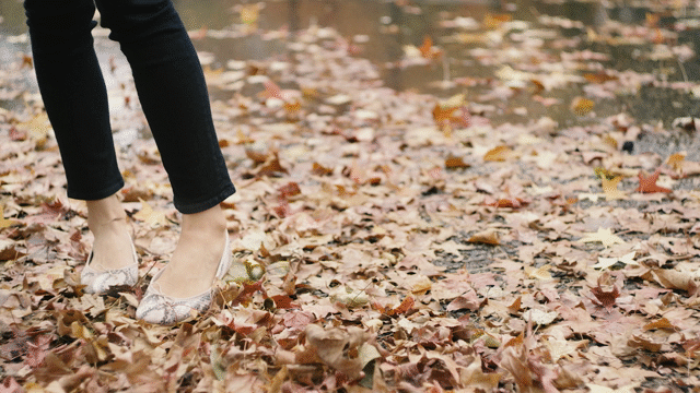 Flixel Cinemagraph