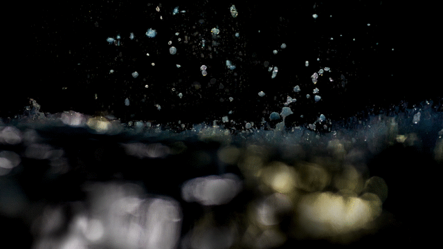 Flixel Cinemagraph