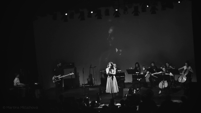 Flixel Cinemagraph