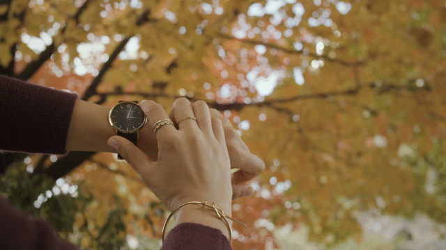 Flixel Cinemagraph