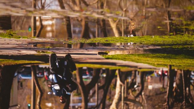 Flixel Cinemagraph
