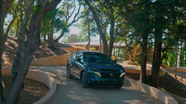 Flixel Cinemagraph