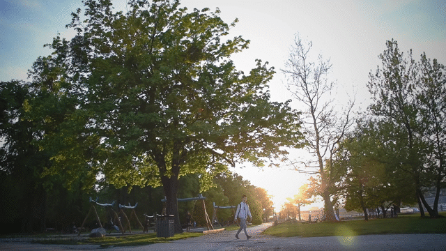 Flixel Cinemagraph