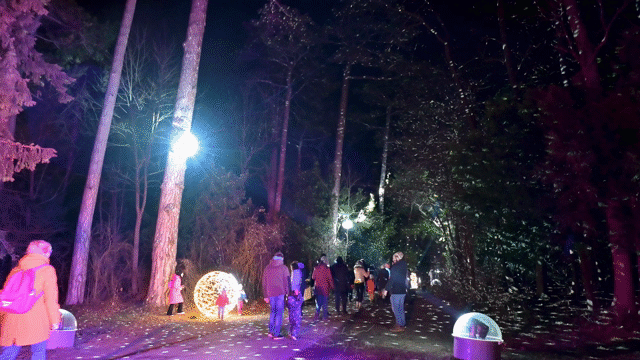 Flixel Cinemagraph