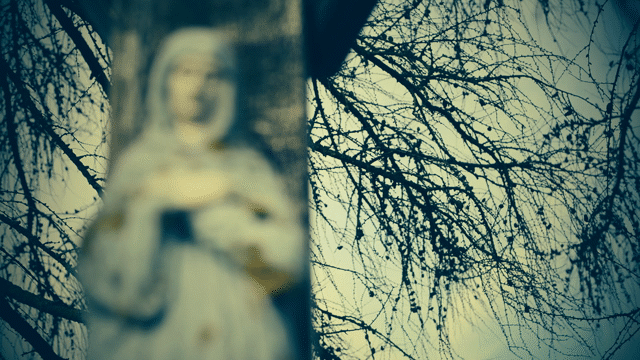 Flixel Cinemagraph