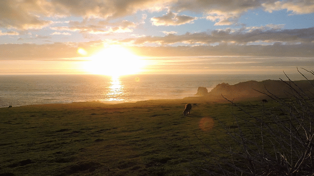 Flixel Cinemagraph