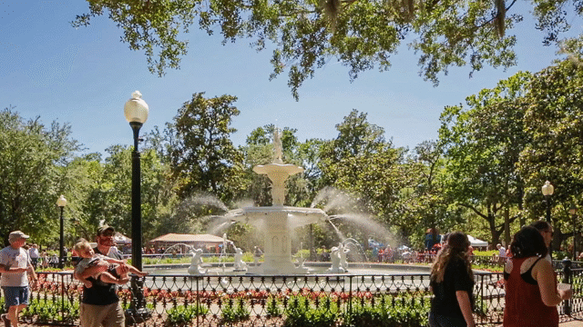 Flixel Cinemagraph