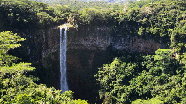 Flixel Cinemagraph