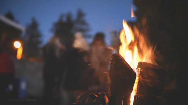 Flixel Cinemagraph