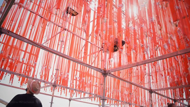 Flixel Cinemagraph