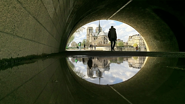 Flixel Cinemagraph