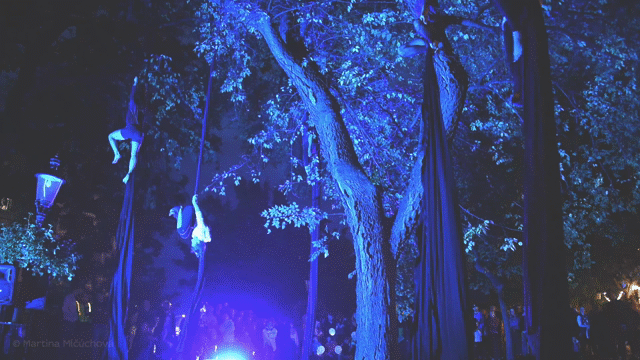 Flixel Cinemagraph
