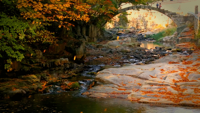 Flixel Cinemagraph