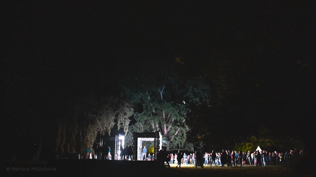 Flixel Cinemagraph