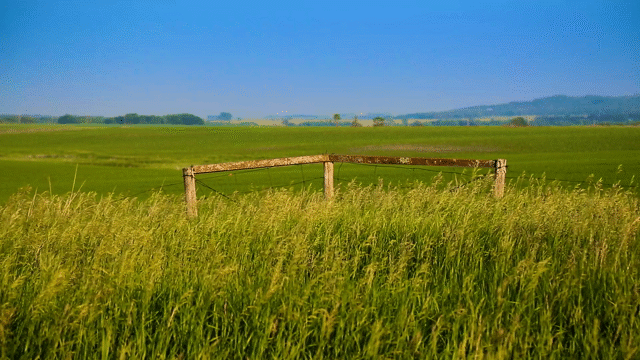 Flixel Cinemagraph