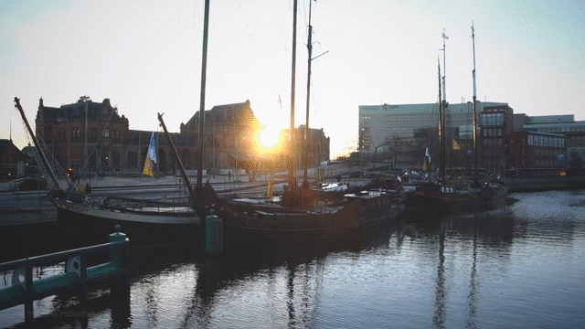 Flixel Cinemagraph