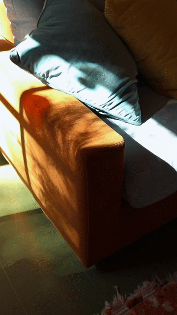 Flixel Cinemagraph