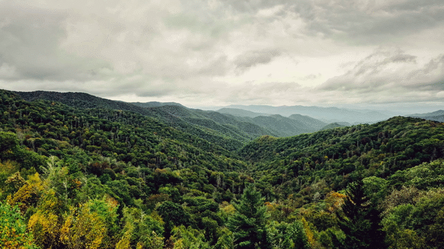 Flixel Cinemagraph