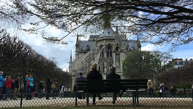 Flixel Cinemagraph