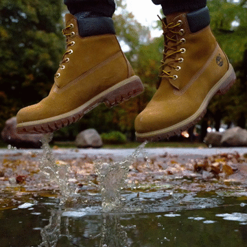 Flixel Cinemagraph