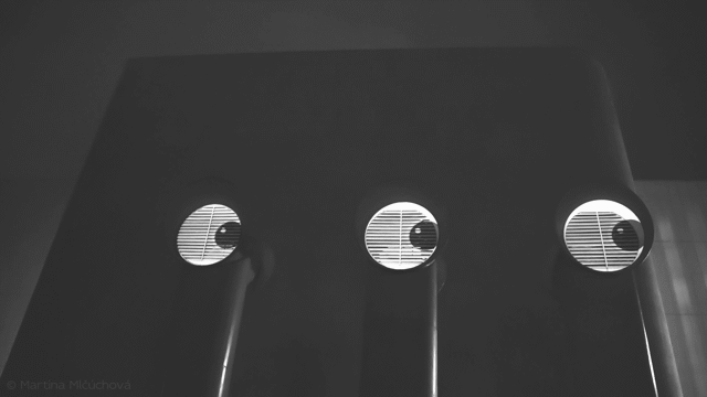Flixel Cinemagraph