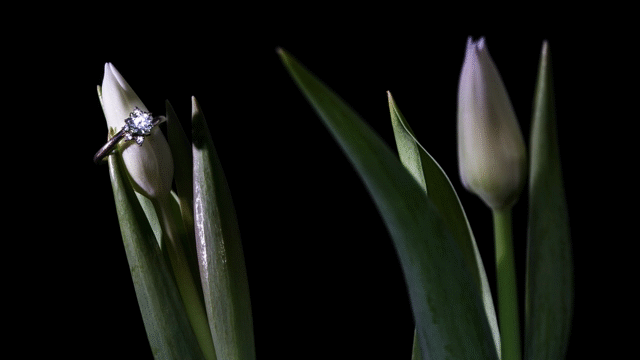 Flixel Cinemagraph