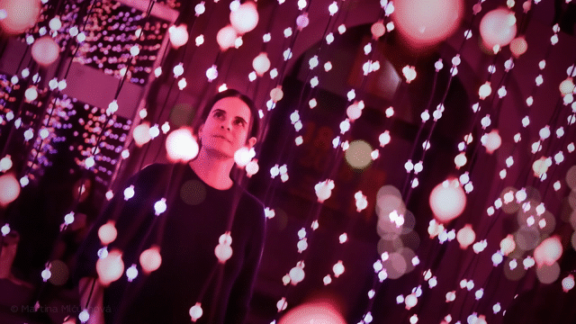 Flixel Cinemagraph