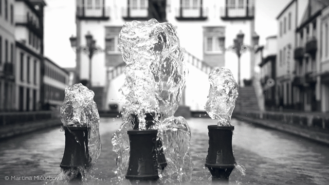 Flixel Cinemagraph