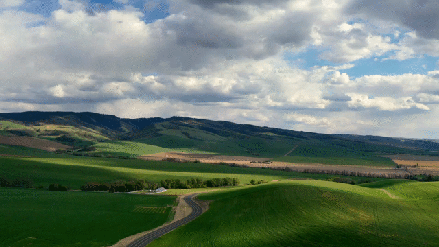 Flixel Cinemagraph