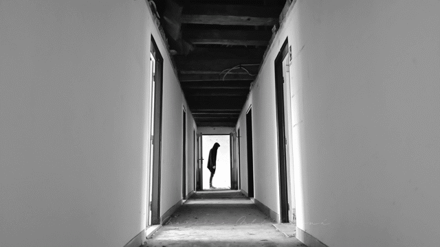 Flixel Cinemagraph