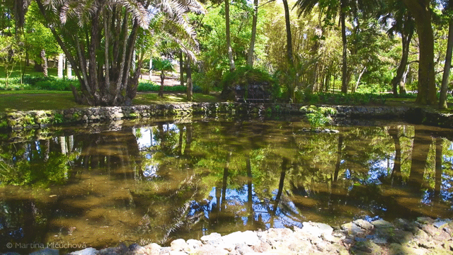 Flixel Cinemagraph