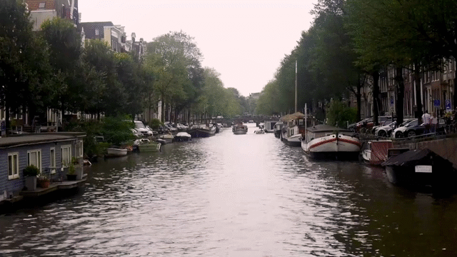 Flixel Cinemagraph
