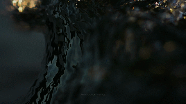 Flixel Cinemagraph