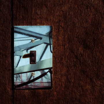 Flixel Cinemagraph
