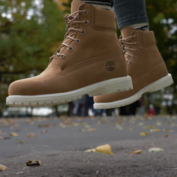 Flixel Cinemagraph