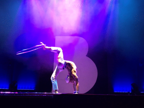 Flixel Cinemagraph