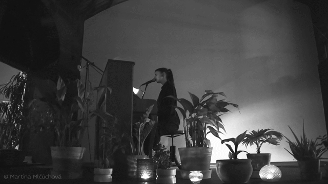Flixel Cinemagraph