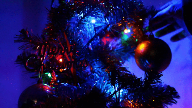 Flixel Cinemagraph